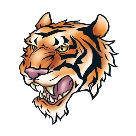 Tiger head 4